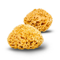 Natural Sea Sponge - Plastic Free Organic Sea Sponge: Honeycomb Sponge