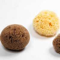 Natural Sea Sponge - Plastic Free Organic Sea Sponge: Grass Sponge