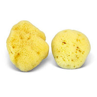 Natural Sea Sponge - Plastic Free Organic Sea Sponge: Grass Sponge