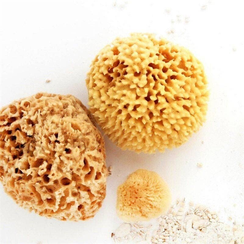 Natural Sea Sponge - Plastic Free Organic Sea Sponge: Grass Sponge