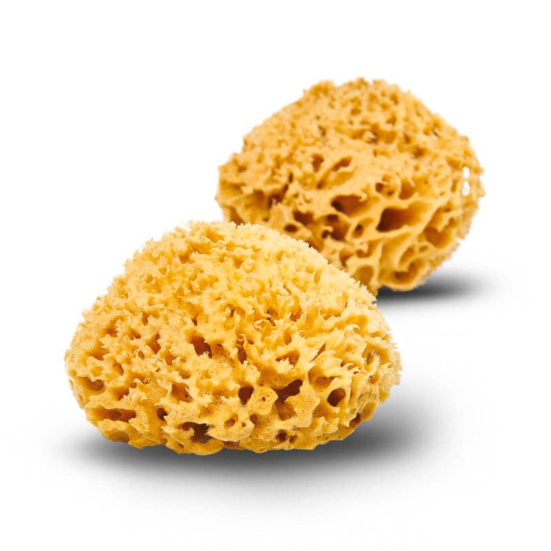 Natural Sea Sponge - Plastic Free Organic Sea Sponge: Grass Sponge
