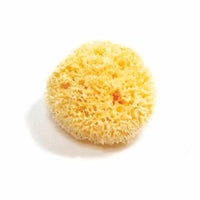 Natural Sea Sponge - Plastic Free Organic Sea Sponge: Grass Sponge