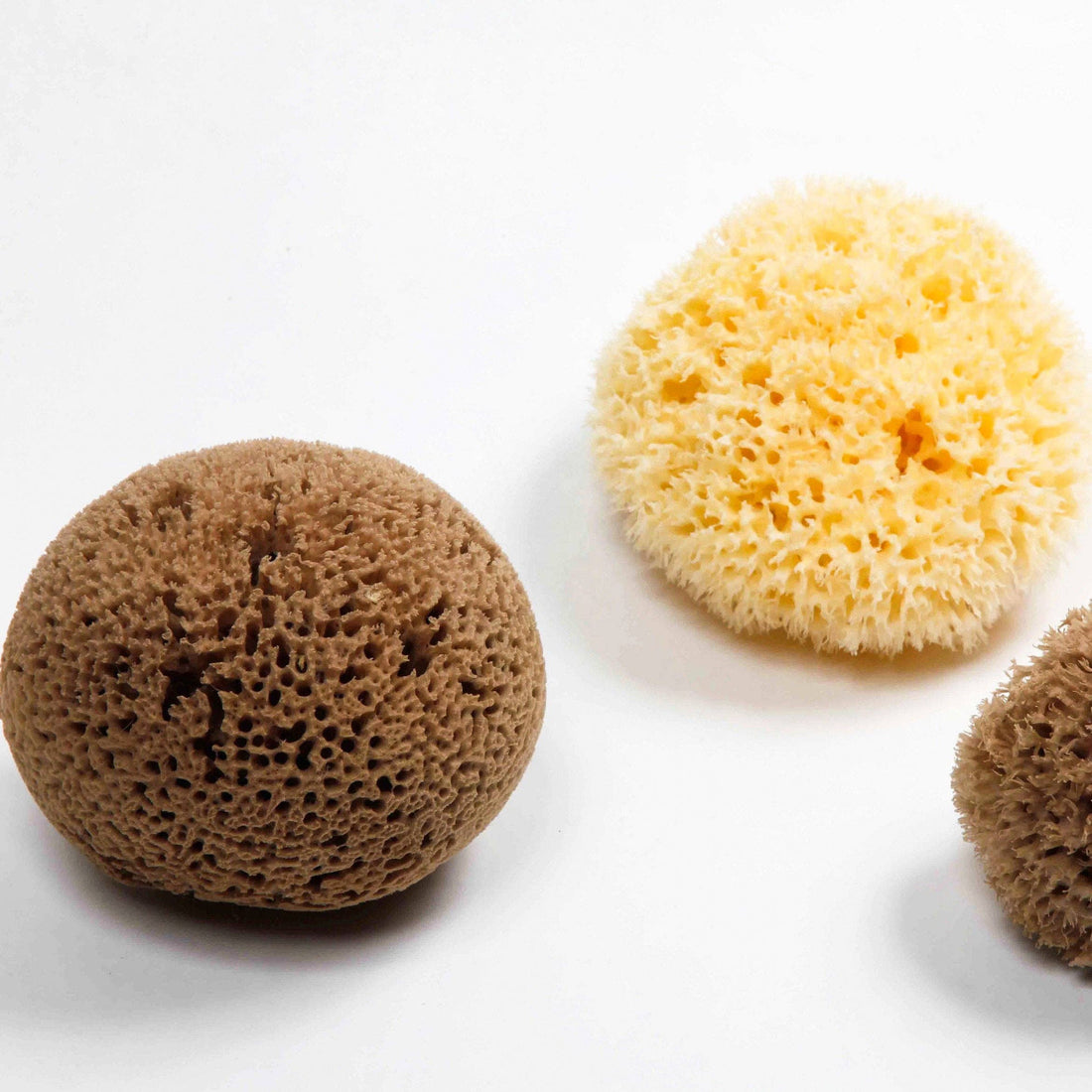 Natural Sea Sponge - Plastic Free Organic Sea Sponge: Grass Sponge