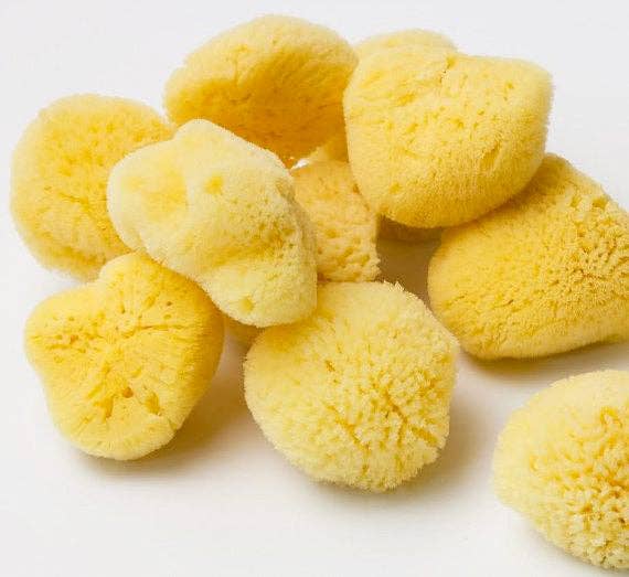 Natural Sea Sponge - Plastic Free Organic Sea Sponge: Grass Sponge