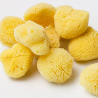 Natural Sea Sponge - Plastic Free Organic Sea Sponge: Grass Sponge