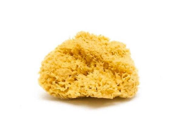 Natural Sea Sponge - Plastic Free Organic Sea Sponge: Honeycomb Sponge