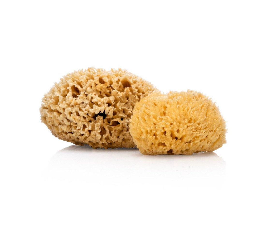 Natural Sea Sponge - Plastic Free Organic Sea Sponge: Grass Sponge