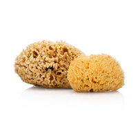 Natural Sea Sponge - Plastic Free Organic Sea Sponge: Grass Sponge