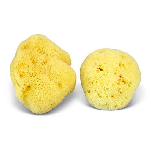 Natural Sea Sponge - Plastic Free Organic Sea Sponge: Grass Sponge